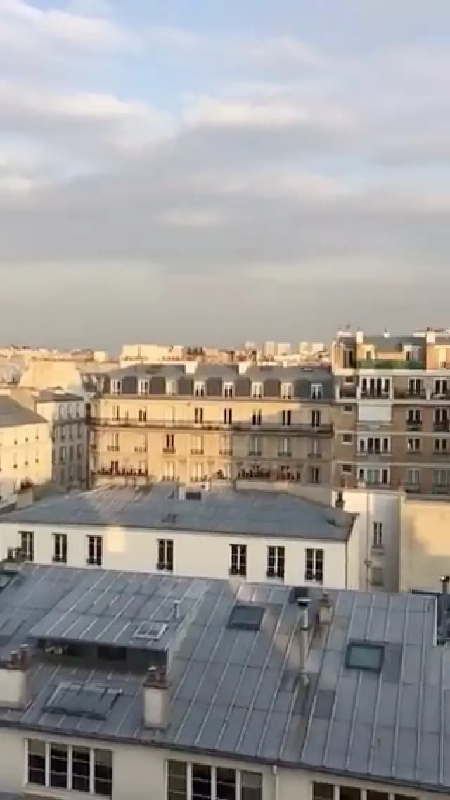 Toits de zinc et façades haussmanniennes vus d’un étage élevé, au petit matin.