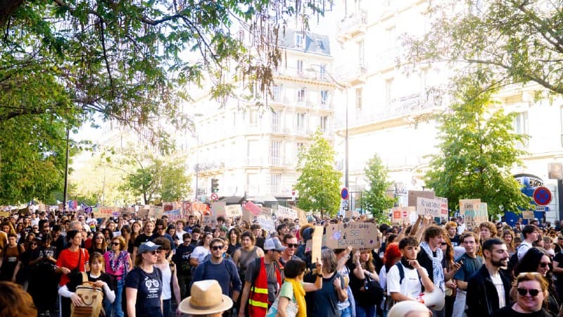Une foule de manifestants, avec des pancartes et des drapeaux, occupe une avenue arborée.