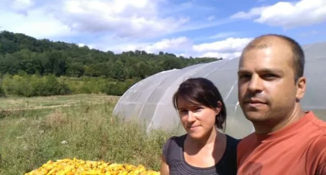 Deux personnes devant des serres tunnels en pleine campagne, à côté d’une caisse de maïs doux.