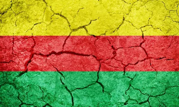 Visuel d’un drapeau à trois bandes horizontales jaune, rouge et vert, appliqué sur une texture de terre craquelée.