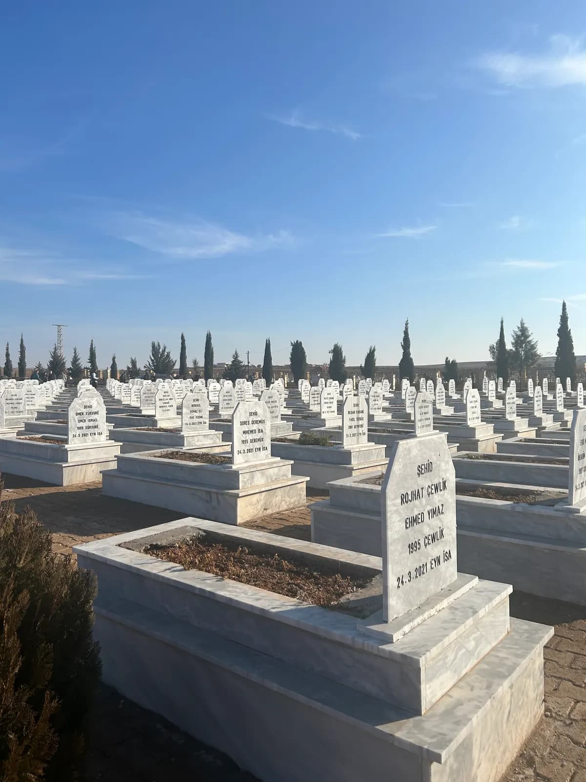 Rangées de stèles blanches identiques dans un cimetière, cyprès à l’horizon.