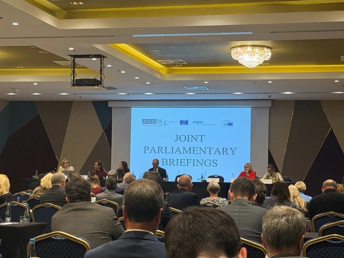 Une salle de conférence vue du public ; sur l’écran, « Joint Parliamentary Briefings » et le logo de l’OSCE.